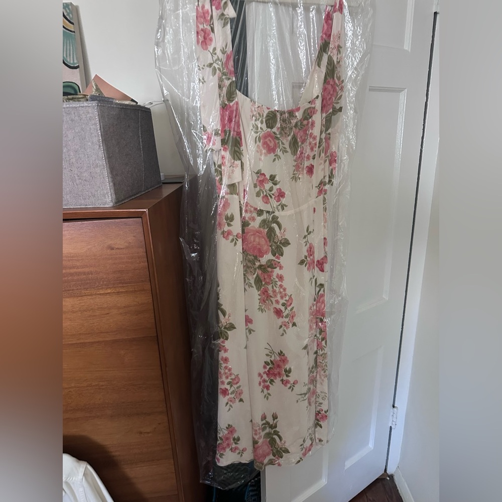 Reformation Floral Cream Dress with Pink and Green Roses